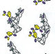 Cello Rolls Various Patterns & Colors