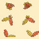 Cello Rolls Various Patterns & Colors