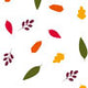 Cello Rolls Various Patterns & Colors