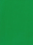 Rayon Jersey Knit Green Solid Fabric