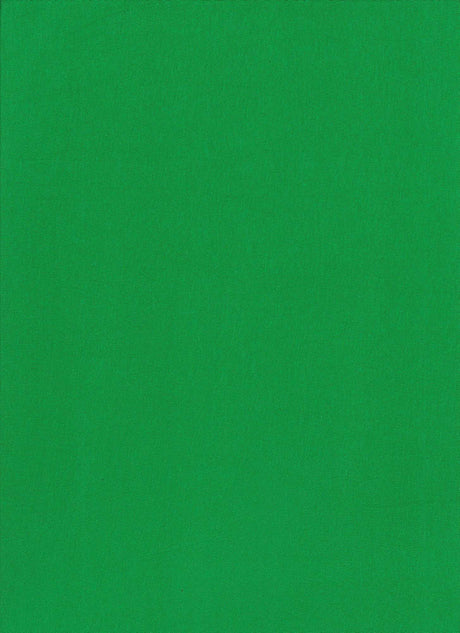 Rayon Jersey Knit Green Solid Fabric