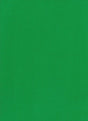Rayon Jersey Knit Green Solid Fabric