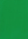 Rayon Jersey Knit Green Solid Fabric