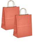 Petite Kraft Tinted Shopping Bag 5.5" x 3.25" x 13"