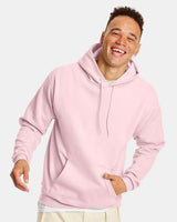 Hanes® Ecosmart Long Sleeve Hooded Sweatshirt