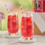 Bromley Raspberry Herbal Iced Tea Filter Bags 1 Gallon - 48/Case