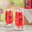 Bromley Raspberry Herbal Iced Tea Filter Bags 1 Gallon - 48/Case