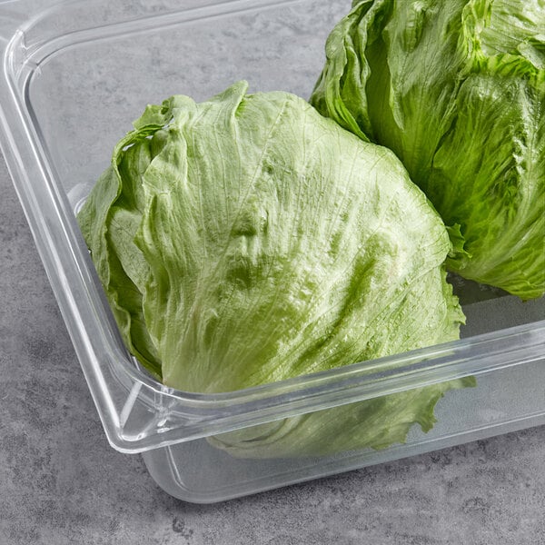 Fresh Iceberg Lettuce - 24/Case