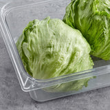 Fresh Iceberg Lettuce - 24/Case