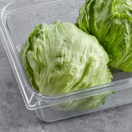 Fresh Iceberg Lettuce - 24/Case