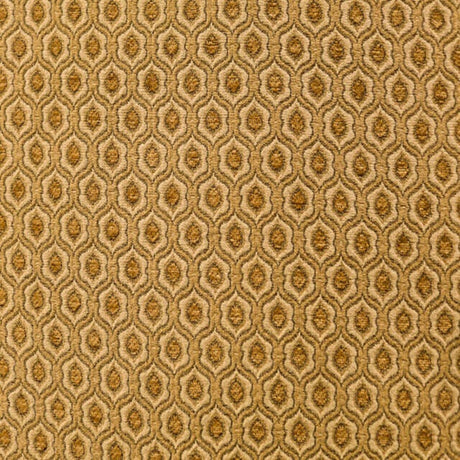 Saxon Fabric Elegant & Versatile