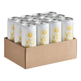 Wild Bill's Craft Beverage Co. Ginger Ale Soda 12 fl. oz. - 12/Case