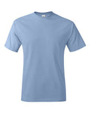 Hanes Unisex Authentic Cotton T-Shirt