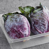 Whole Red Cabbage Head - 15/Case