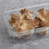 Fresh Oyster Mushrooms 5 lb.