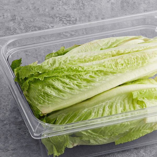 Romaine Hearts - 48/Case