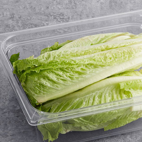 Romaine Hearts - 48/Case