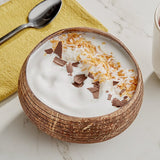 Tropical Acai Premium Coconut Sorbet 3 Gallon