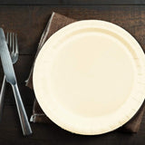 24 Ct. Ivory Paper Dinner Plates 9" Round Elegant & Durable Disposable Party Plates