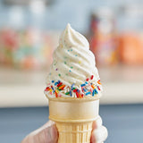 J. Hungerford Smith Birthday Cake Confetti Cone Shell Coating #10 Can - 3/Case