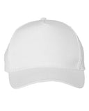 Bio-Washed Classic Dad Hat