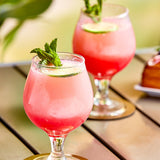 Andros Chef Sweetened Lychee Puree 2.2 lb.