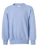 Ecosmart Youth Crewneck Sweatshirt