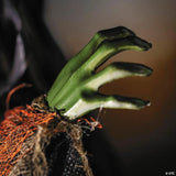 27 1/2" Hanging Orange Pumpkinhead Scarecrow with Hat Halloween Decoration