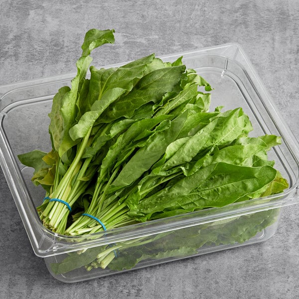 Fresh Sorrel 2.2 lb.