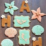 Ann Clark Tropical Starfish Cookie Cutter 3.75" Ocean Theme