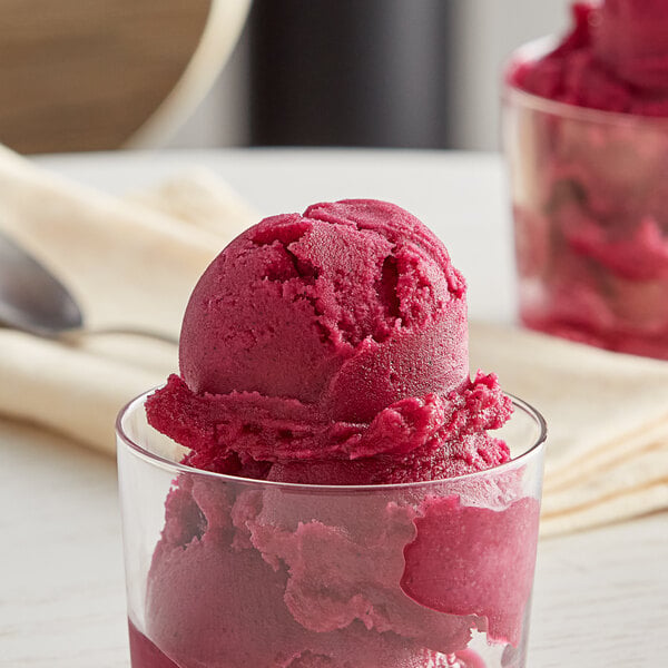 Sambazon Organic Dragon Fruit Pitaya Sorbet 3 Gallon