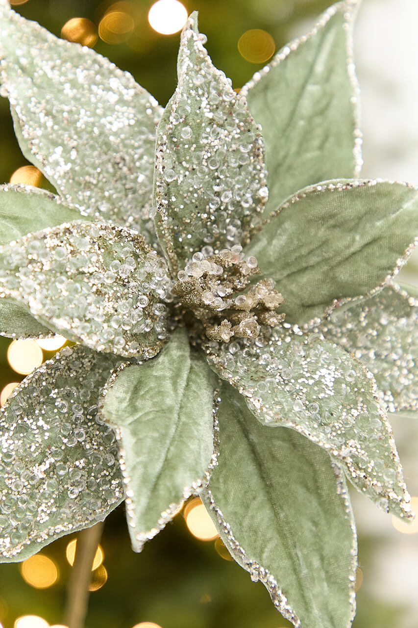 20" x 12” Sage Poinsettia Stem