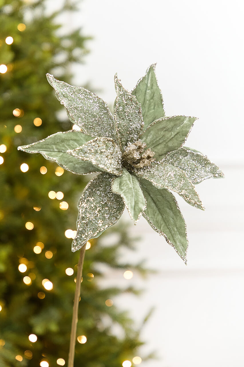 20" x 12” Sage Poinsettia Stem