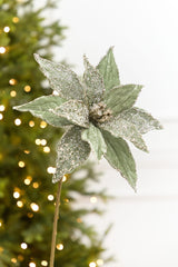 20" x 12” Sage Poinsettia Stem