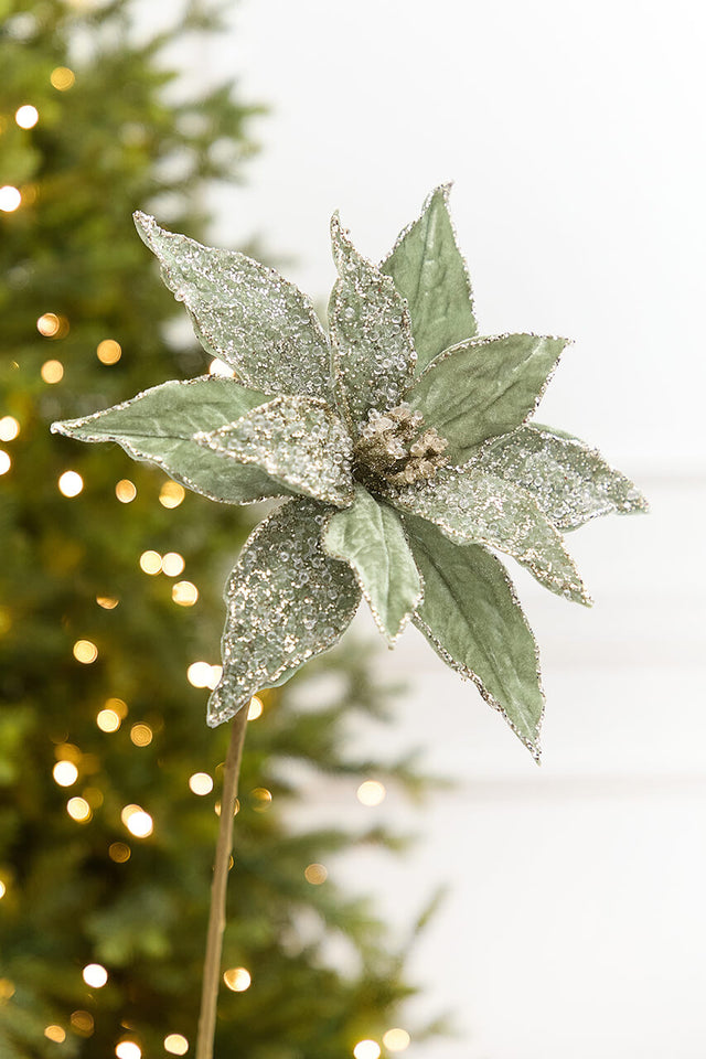 20" x 12” Sage Poinsettia Stem