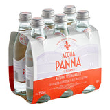 Acqua Panna Natural Spring Water 250 mL Glass Bottle - 24/Case