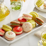Macaron Centrale Vegan Specialty Macaron Variety Pack - 48/Case