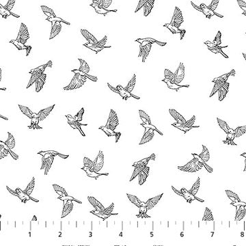 Cotton Fabric White/Black Nature's Sketchbook 44/45"
