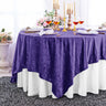 Seamless Square Ice Crushed Velvet Tablecloth Overlay