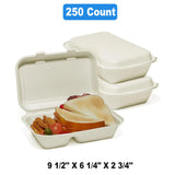 Molded Fiber Hinged Containers 9.5" x 6.25" x 2.75"
