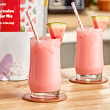 Bossen 2.2 lb. Watermelon Powder Mix - 20/Case