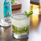 Master of Mixes 375 mL Premium Mint Syrup - 12/Case