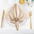 Velvet Dinner Napkins 20x20 Champagne