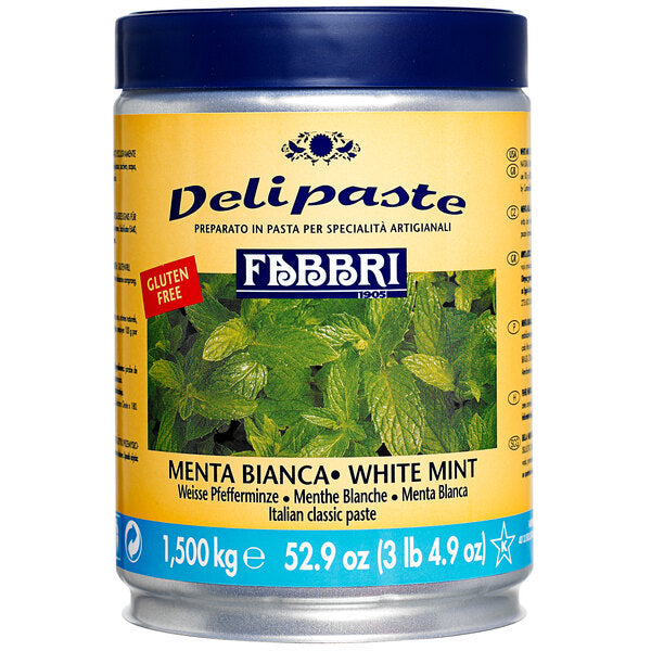 Fabbri Delipaste 1.5 kg White Mint Flavoring Paste - 8/Case