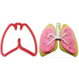RADYAN Lungs Cookie Cutter in Plastic for Baking and Decorating Projects product image clearly displaying the product.