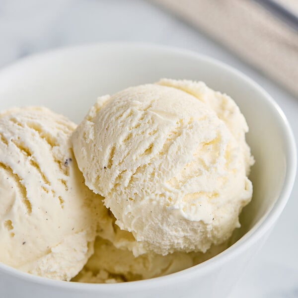 Tillamook Vanilla Bean Premium Ice Cream with 13.5% Butterfat 3 Gallon