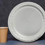 24 Count Metallic Silver Solid Color 7 Inch Round Dessert Plates for Events and Entertaining