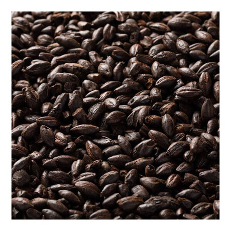 Briess Black Malt 50 lb.