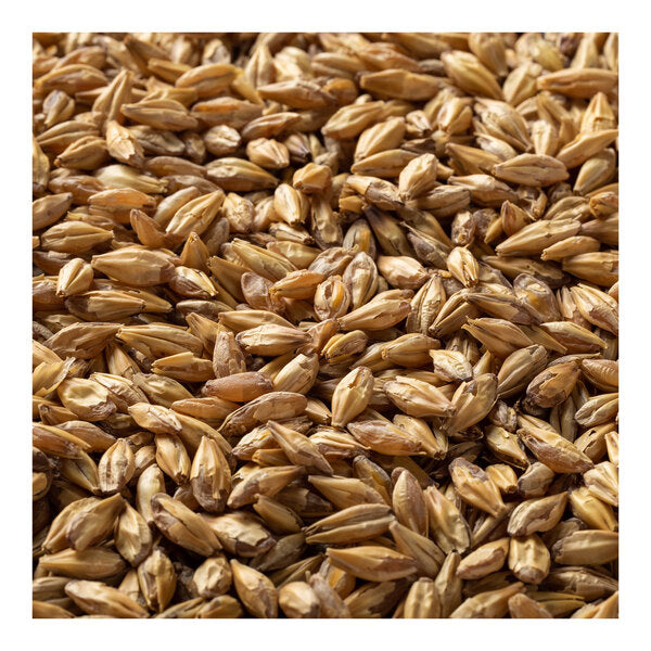 Briess Carapils Malt 50 lb.