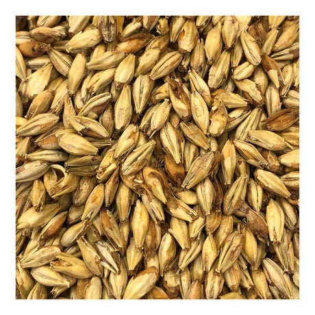 Briess American Honey Malt 50 lb.